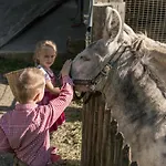 Hotel Replerhof Mit Kinderbetreuung Pragraten