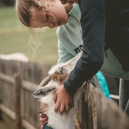 Replerhof Mit Kinderbetreuung 4* Pragraten