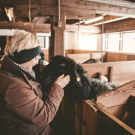 Szálloda Replerhof Mit Kinderbetreuung Prägraten
