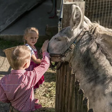Szálloda Replerhof Mit Kinderbetreuung Prägraten