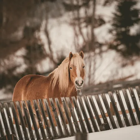 Replerhof Mit Kinderbetreuung 호텔 4*