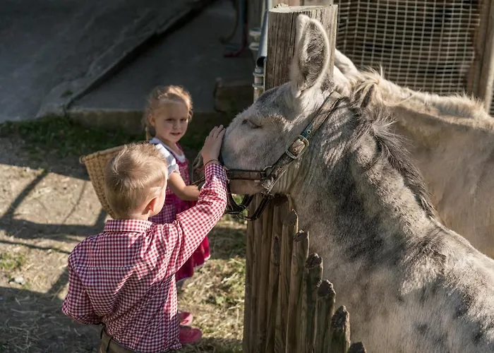 מלון Replerhof Mit Kinderbetreuung פראגראטן