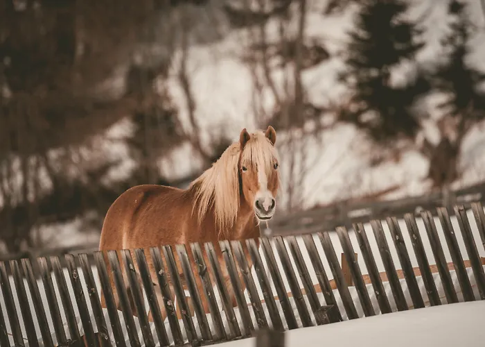 Replerhof Mit Kinderbetreuung מלון 4*