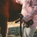 Replerhof Mit Kinderbetreuung 호텔 4*