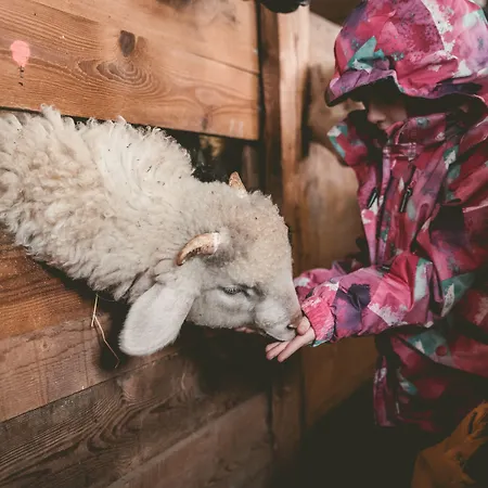 فندق Replerhof Mit Kinderbetreuung Prägraten