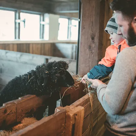 فندق Replerhof Mit Kinderbetreuung Prägraten