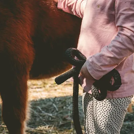 Replerhof Mit Kinderbetreuung Hotel 4*