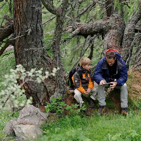Replerhof Mit Kinderbetreuung Hotel